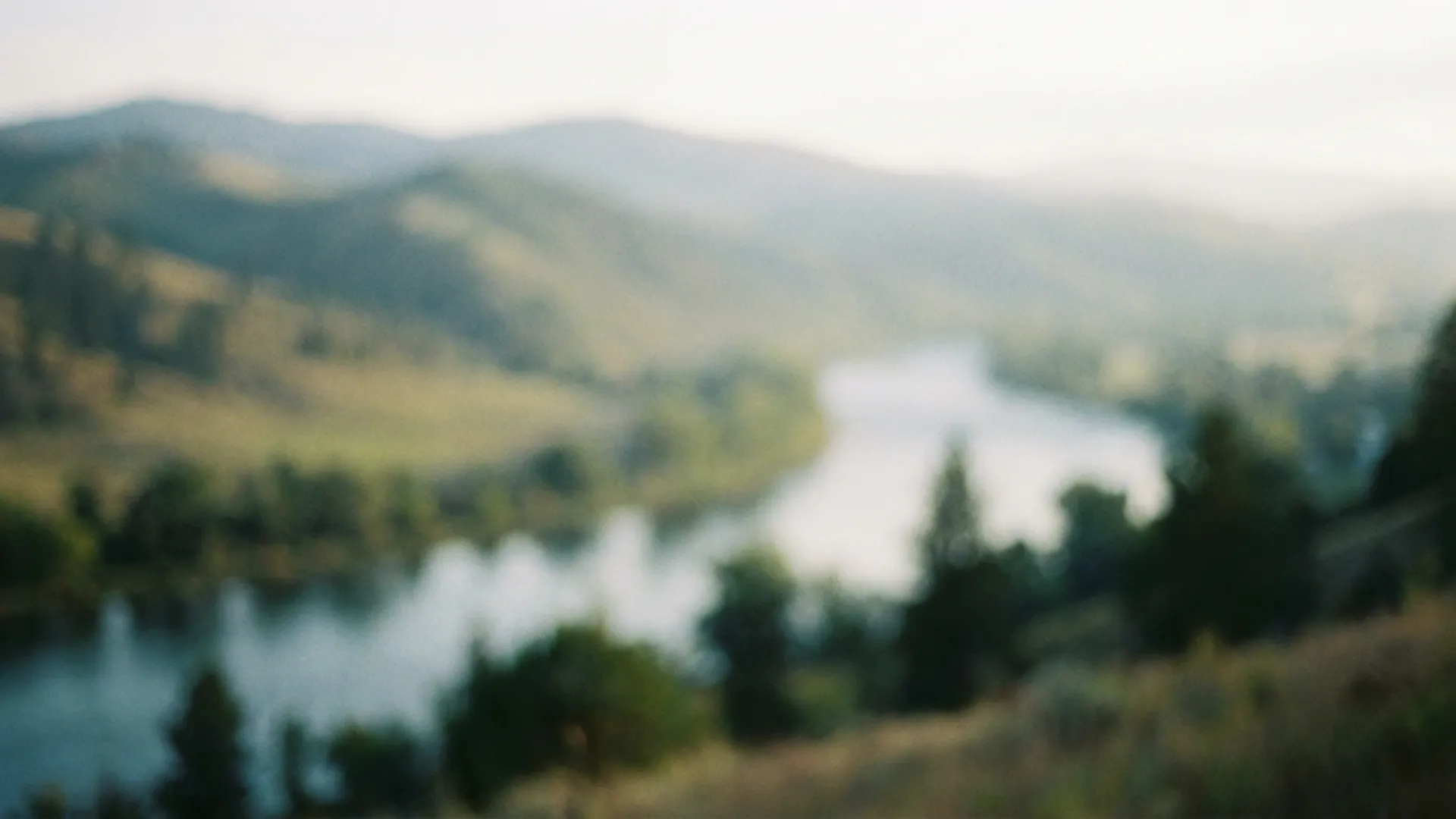 AI Unblur Image sample before 2 AI Unblur Image sample before 2